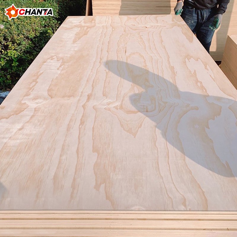 pine plywood