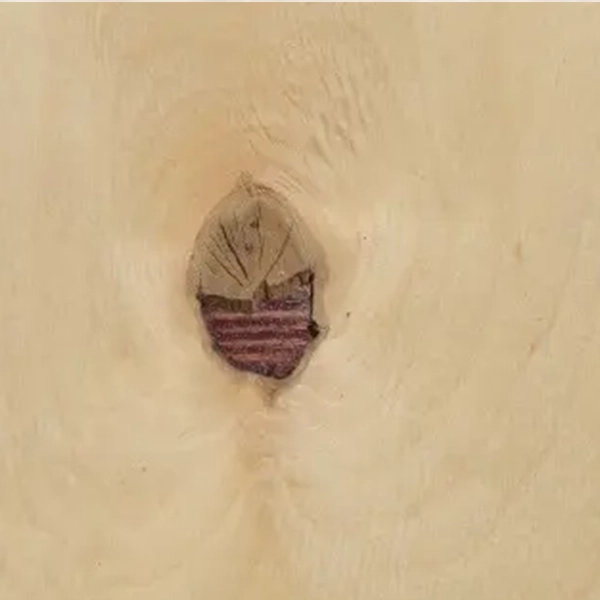 C Grade birch plywood