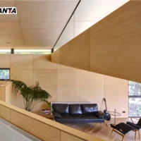 birch plywood