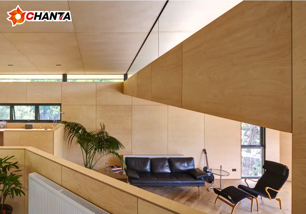 birch plywood