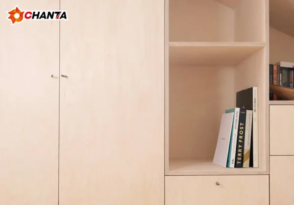 Birch Plywood Manufacturer in Vietnam Birch Plywood Manufacturer in Vietnam