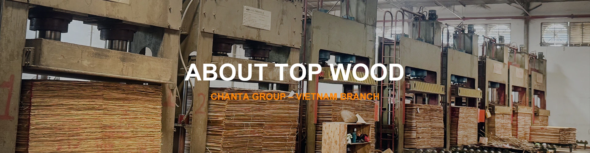 about top wood